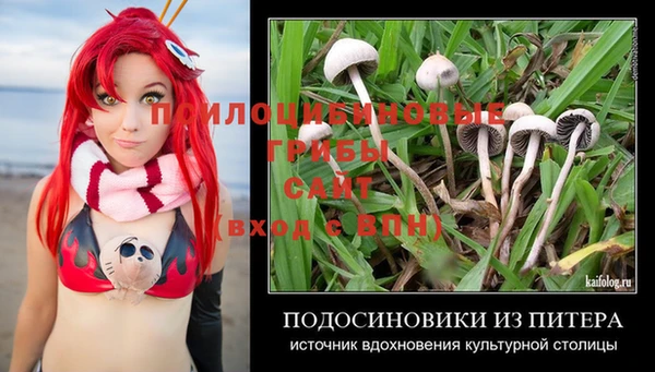 мяу мяу мука Алексеевка