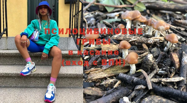 герыч Алексин
