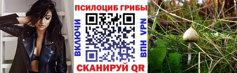 Псилоцибиновые грибы прущие грибы  Жуковский 